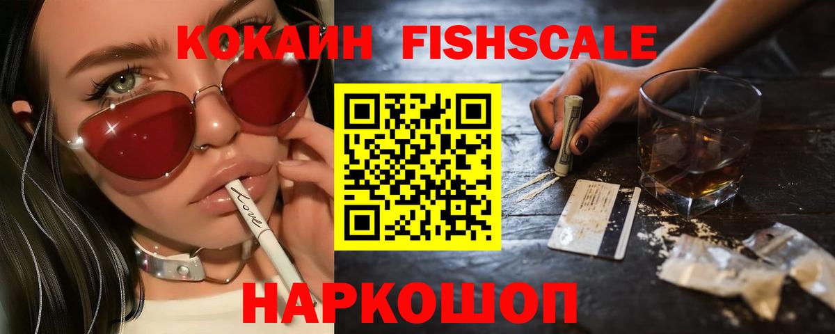 COCAIN  Вход с VPN  Самара  COCAIN Fish Scale 