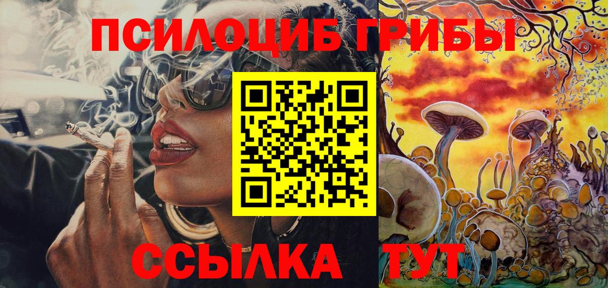 Самара  Псилоцибиновые грибы мицелий  Вход с VPN 