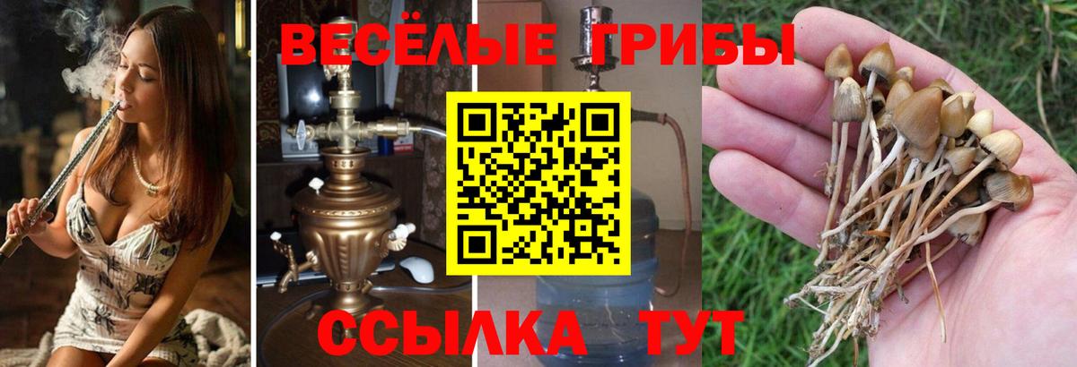 Галлюциногенные грибы GOLDEN TEACHER Самара